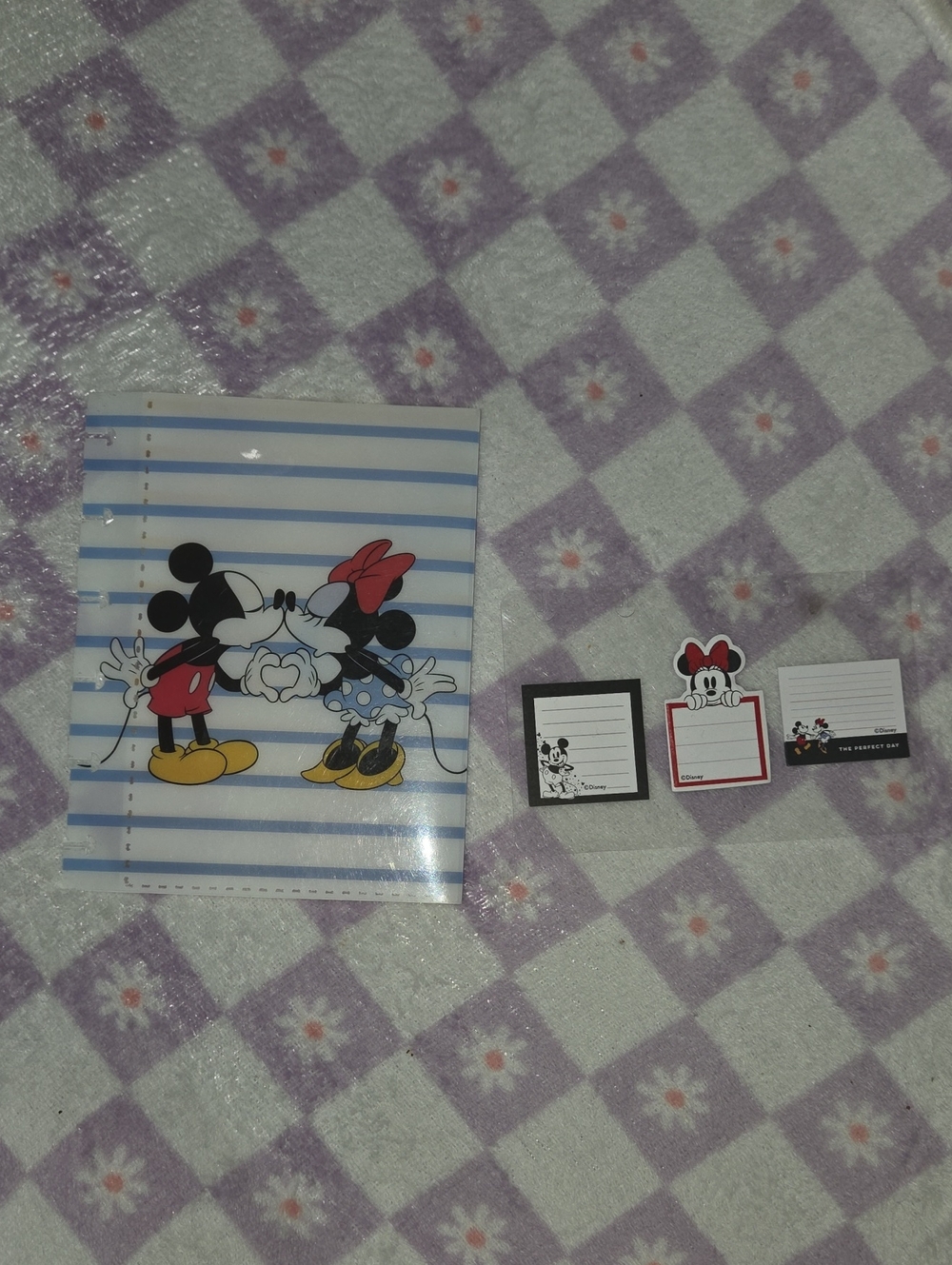 Mickey And Mini Mouse Note Pads